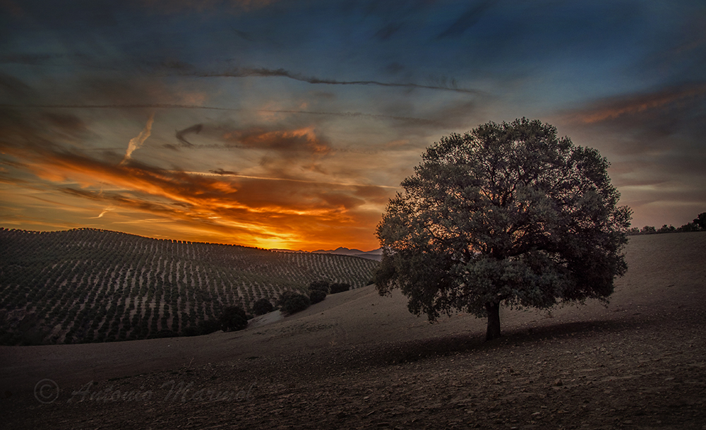 Despertando al Coloso.