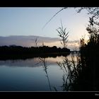 Despertar en Albufera, Alcudia , Mallorca