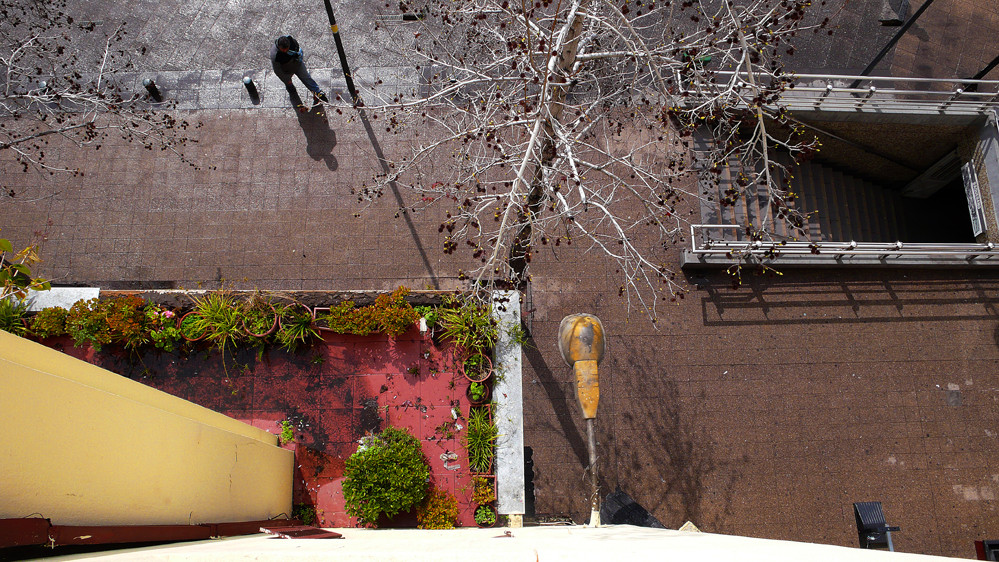 Después de la Lluvia