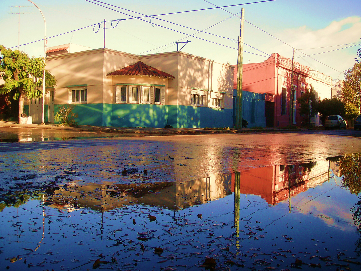 despues de la lluvia