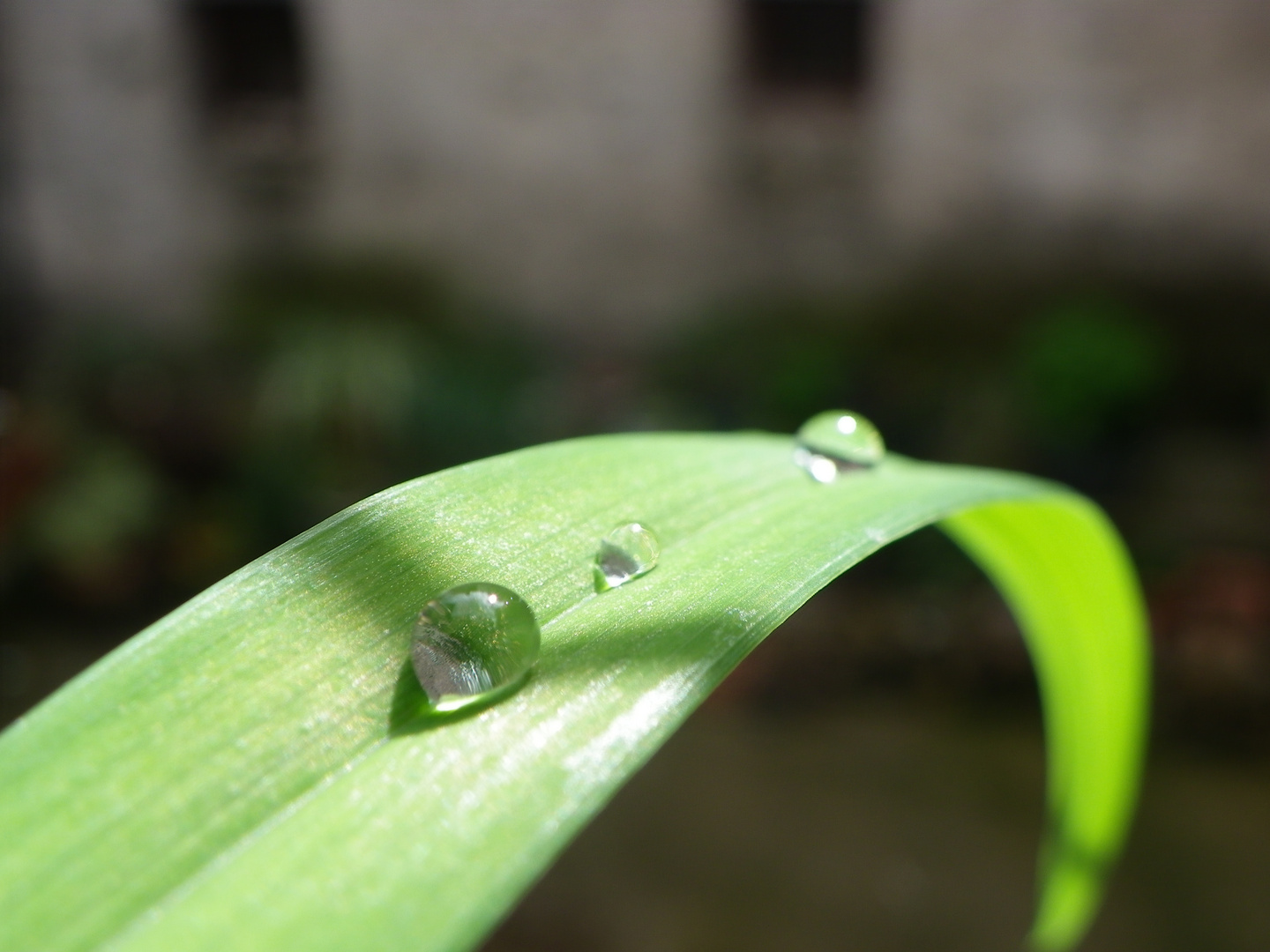 Después de la lluvia