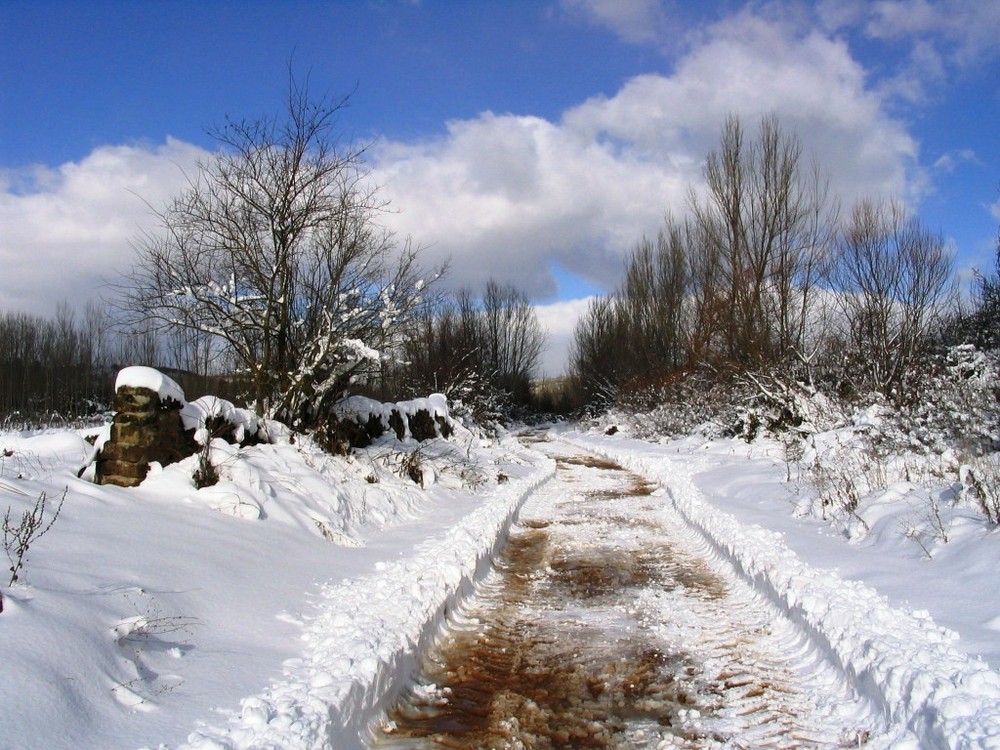 Después de la nevada