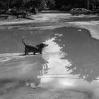 Después de la playa un baño refrescante