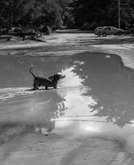 Después de la playa un baño refrescante