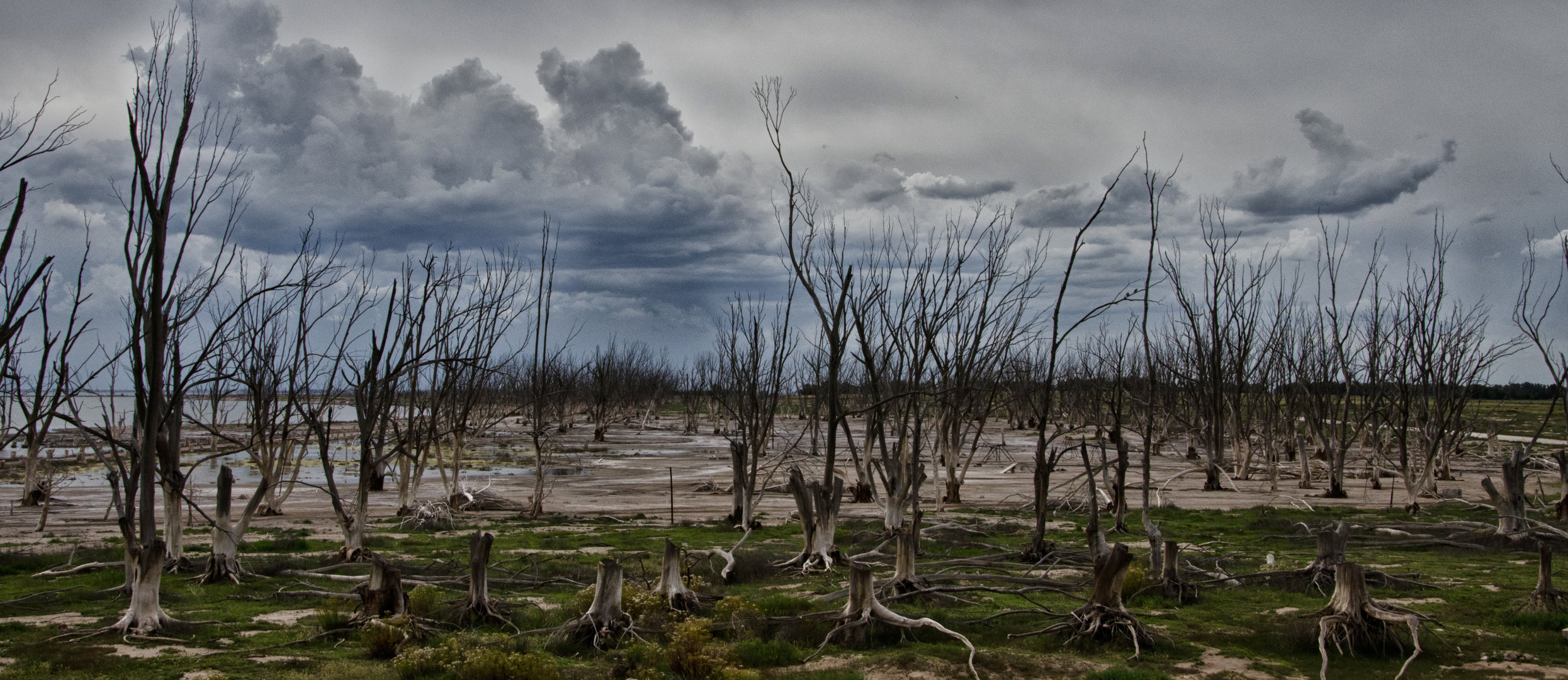 Después de la tempestad