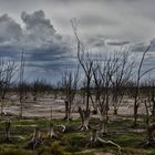 Después de la tempestad