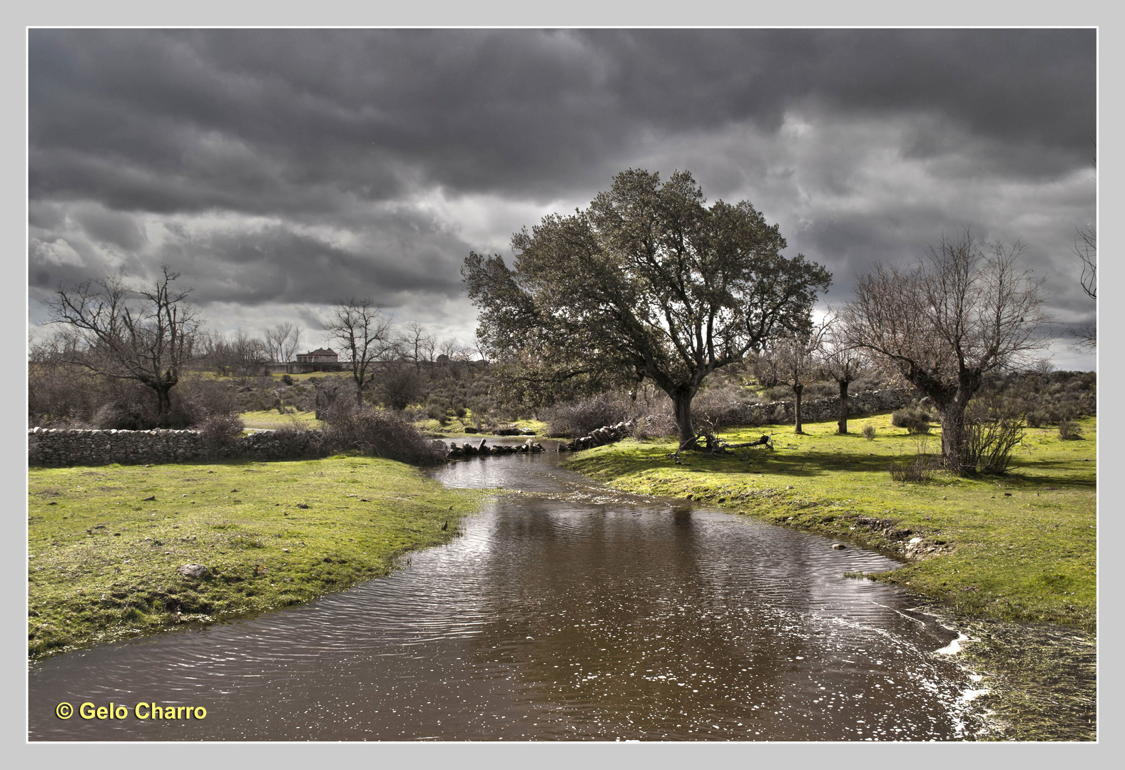 Despues de la tormenta