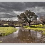 Despues de la tormenta