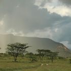 DESPUES DE LA TORMENTA