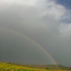 Despues de la tormenta