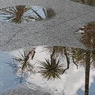 Después de las lluvias, estos charcos.