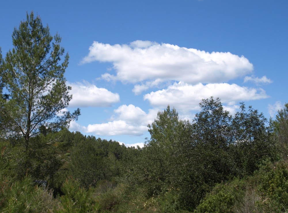 Despues de una tormenta...