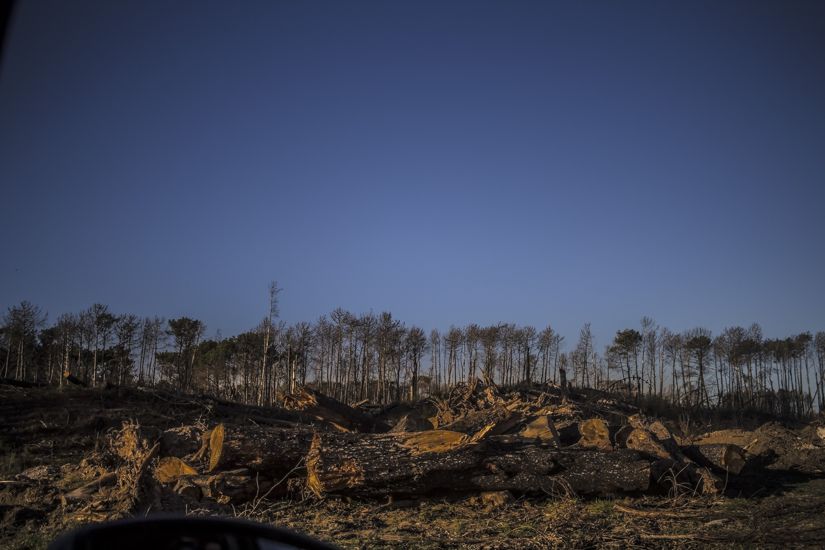 Después del incendio en la Reserva