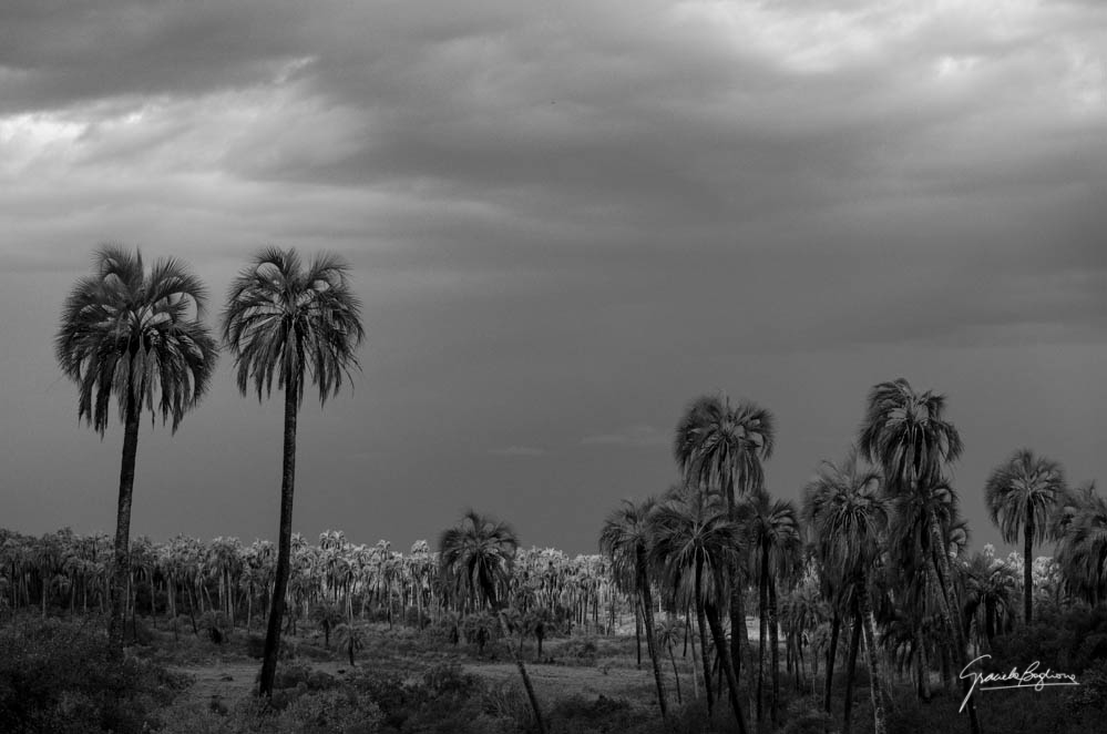 Después del temporal