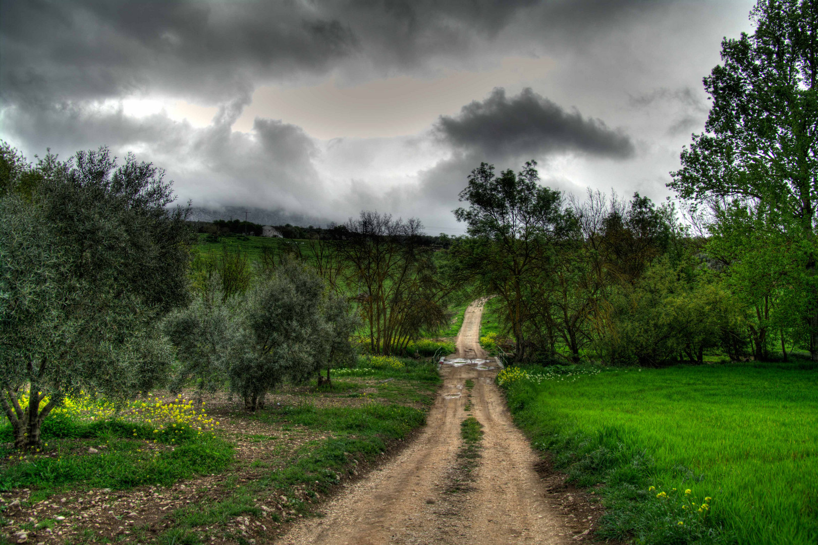 Despues la Tormenta. After The Storm