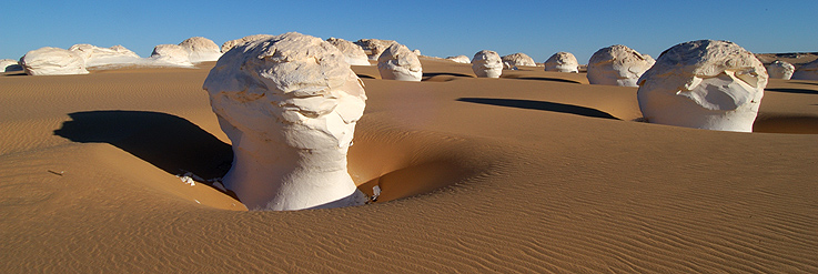 "Dessert"-Stückchen in the Desert