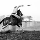 Destreza en el campo