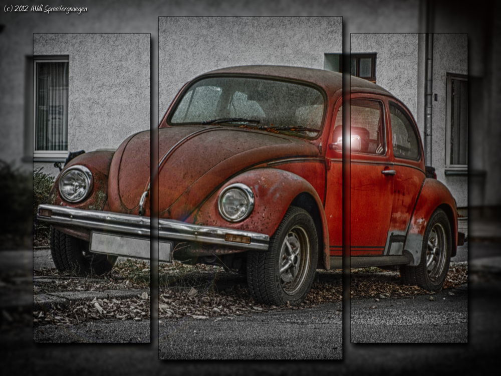 Destroyed Beetle N°1