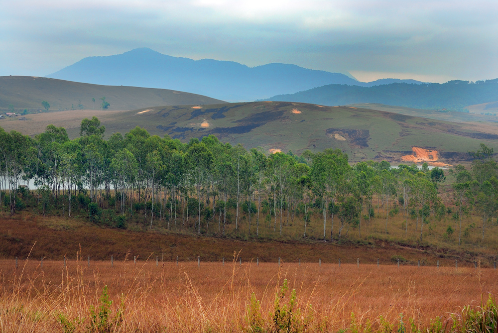 Destroyed landscape around Xieng Khouang