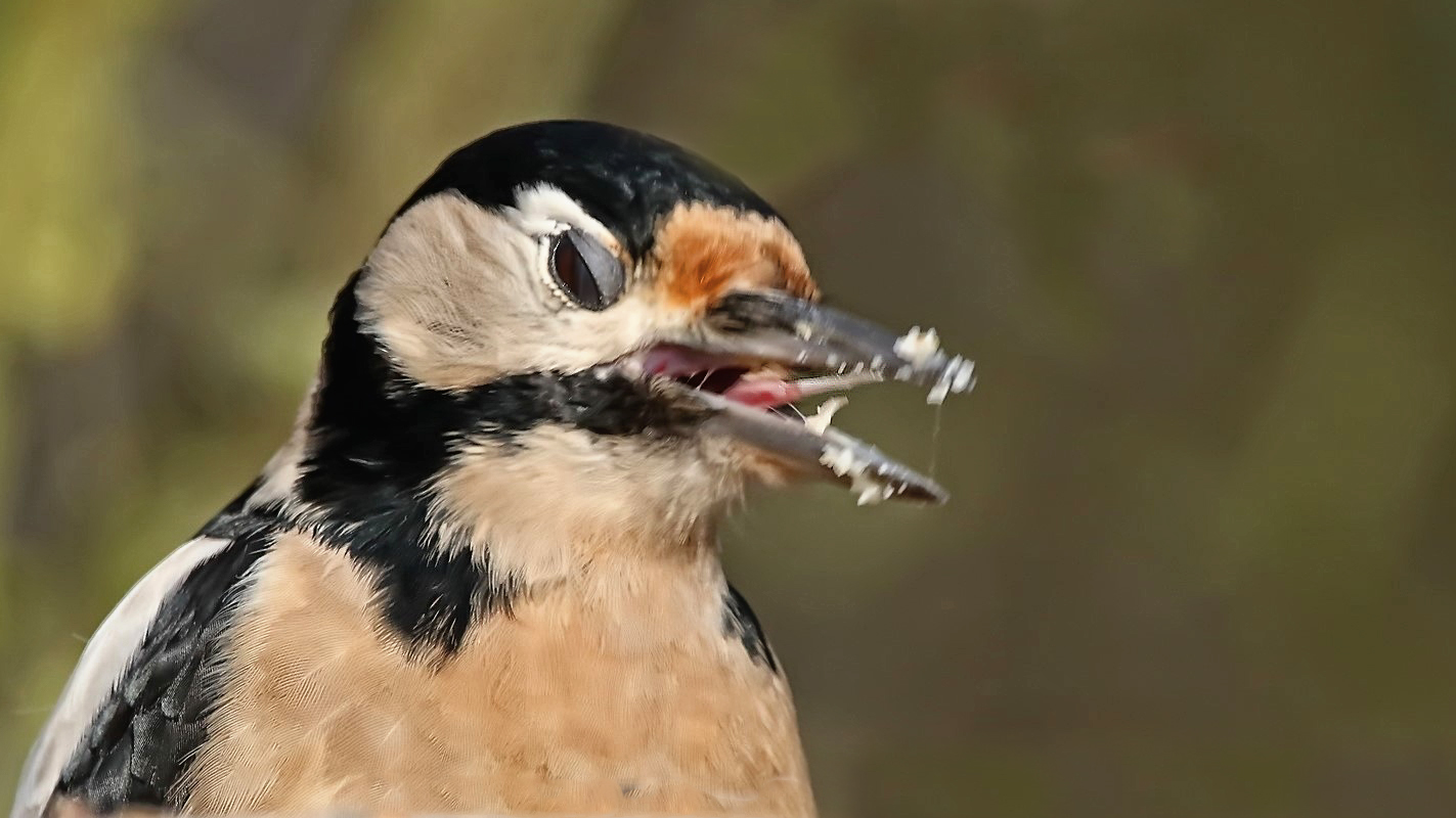 "Det schmeckt merrrrr ...."