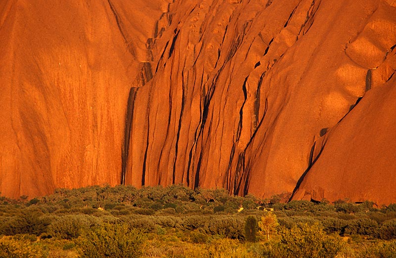 Detail am Uluru kurz vor Sonnenuntergang