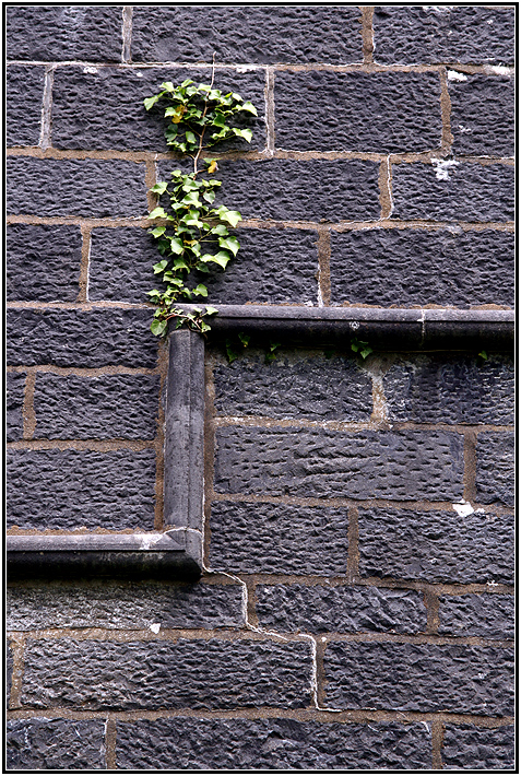 Detail an der Kirchenmauer