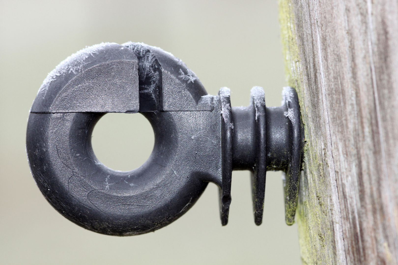 Detail an einem Gartenhaus