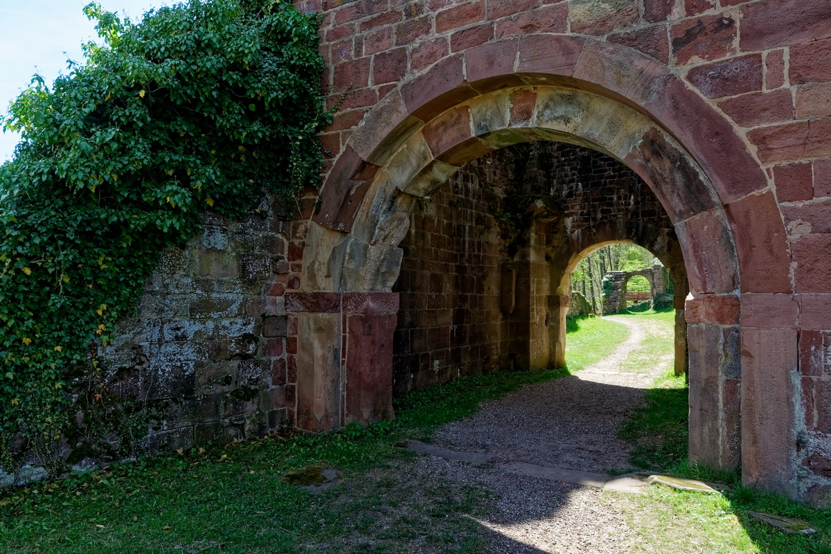 detail Burgruine Wildenberg