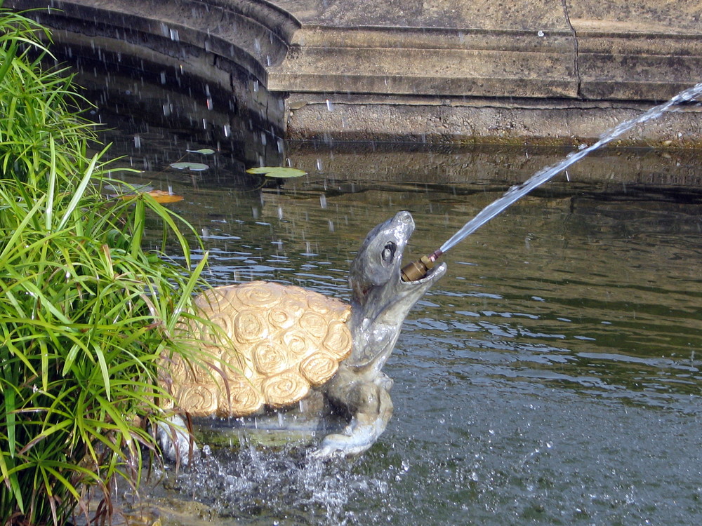 Détail de fontaine