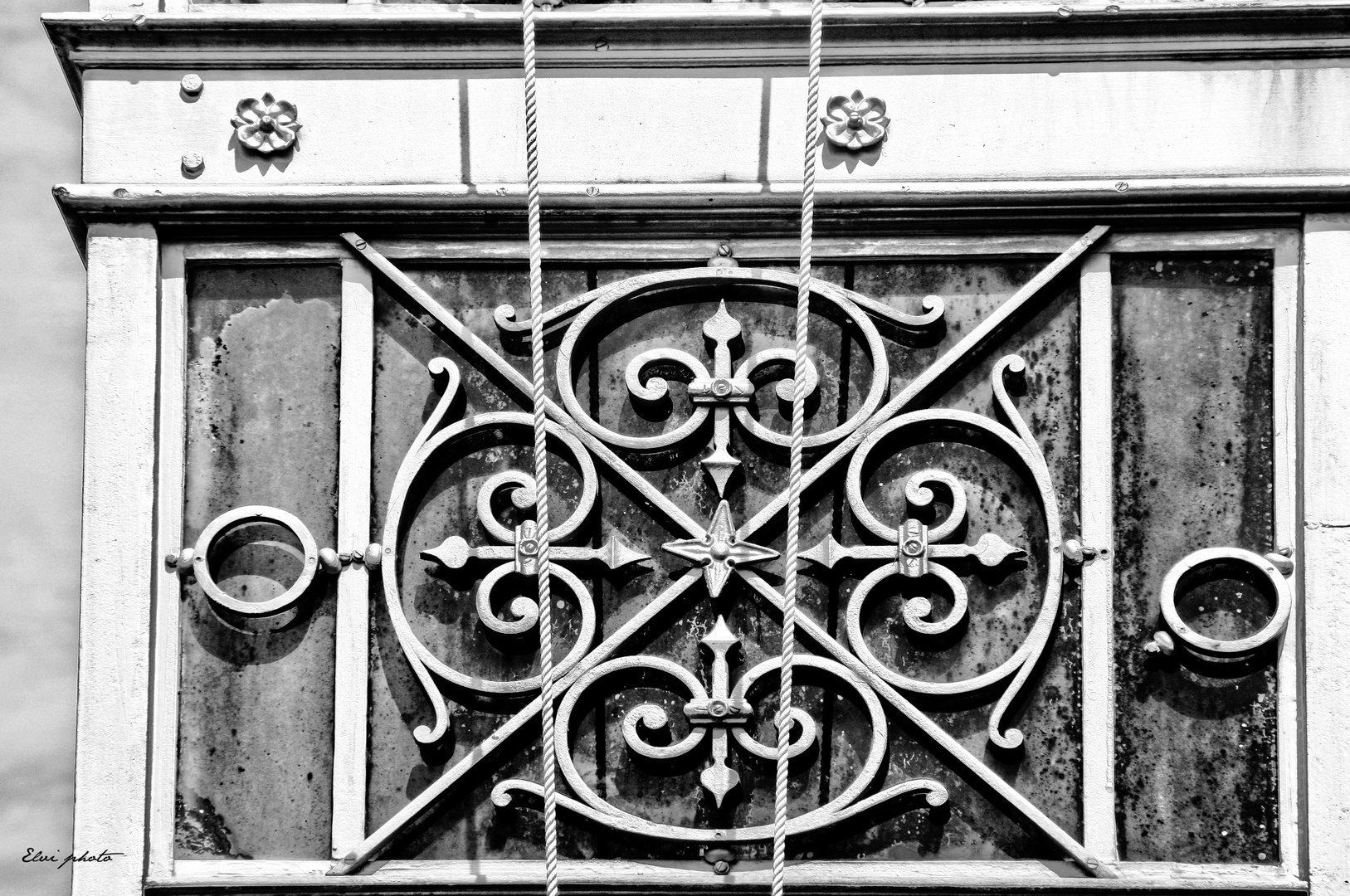 détail de la  serre du jardin des plantes