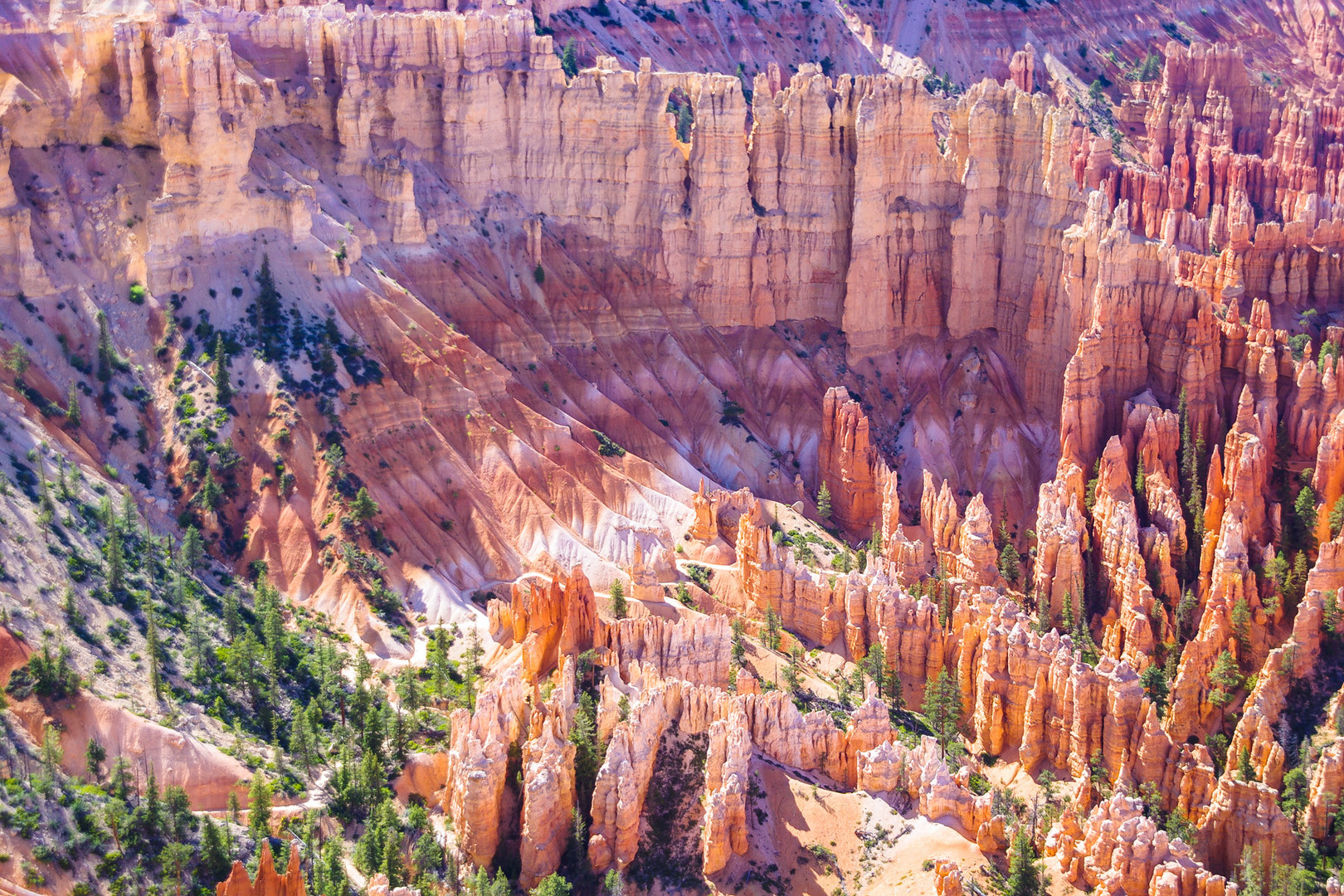 Detail des Bryce Amphitheaters im Nachmittagslicht