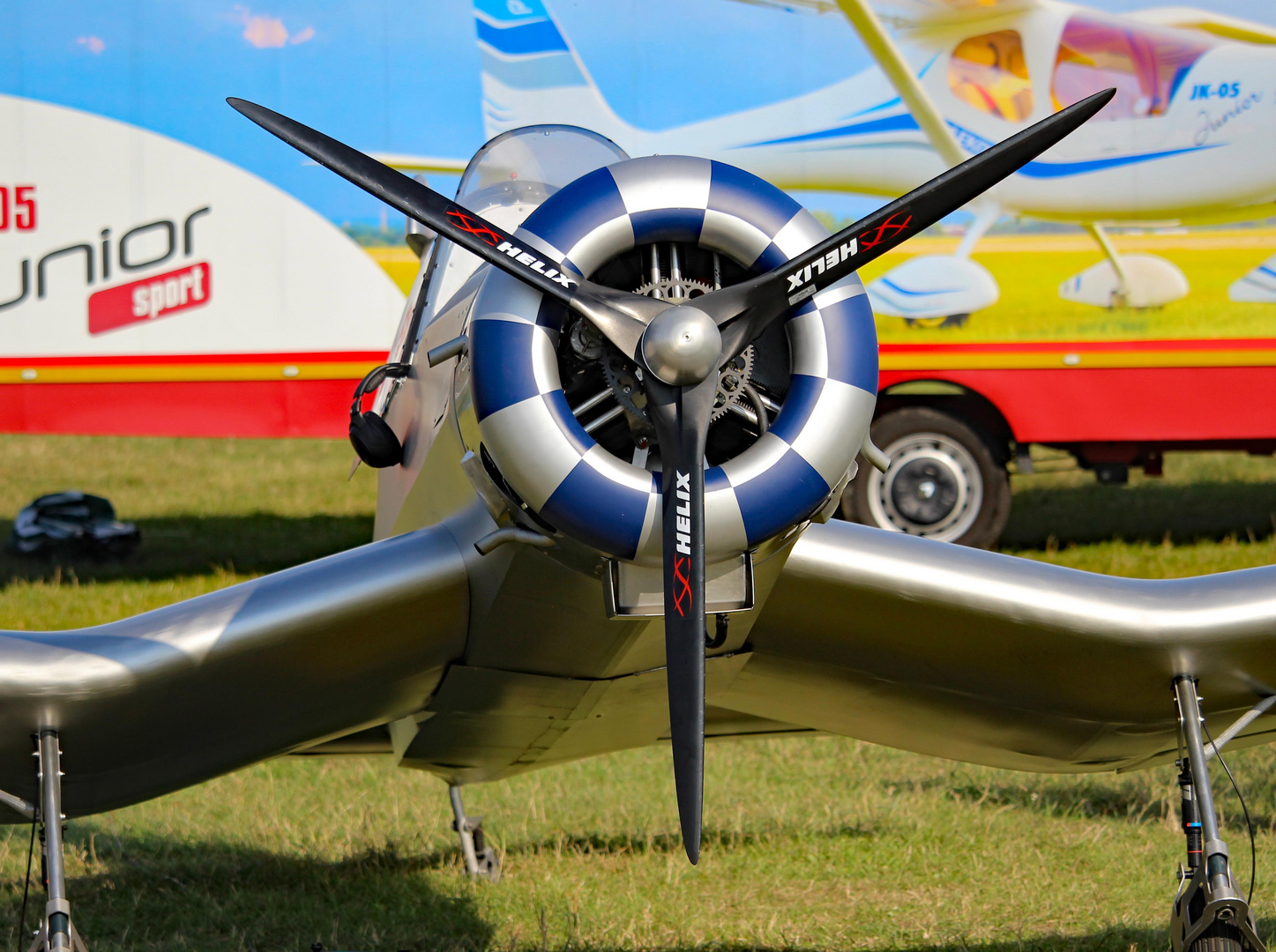 Detail des Silbernen Flieger