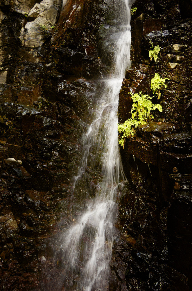 Detail des Wasserfalls bei El Guro, La Gomera