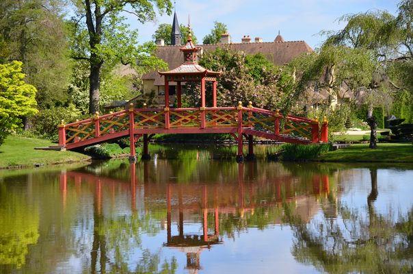 Détail du parc naturel d'Apremont (Allier, France)