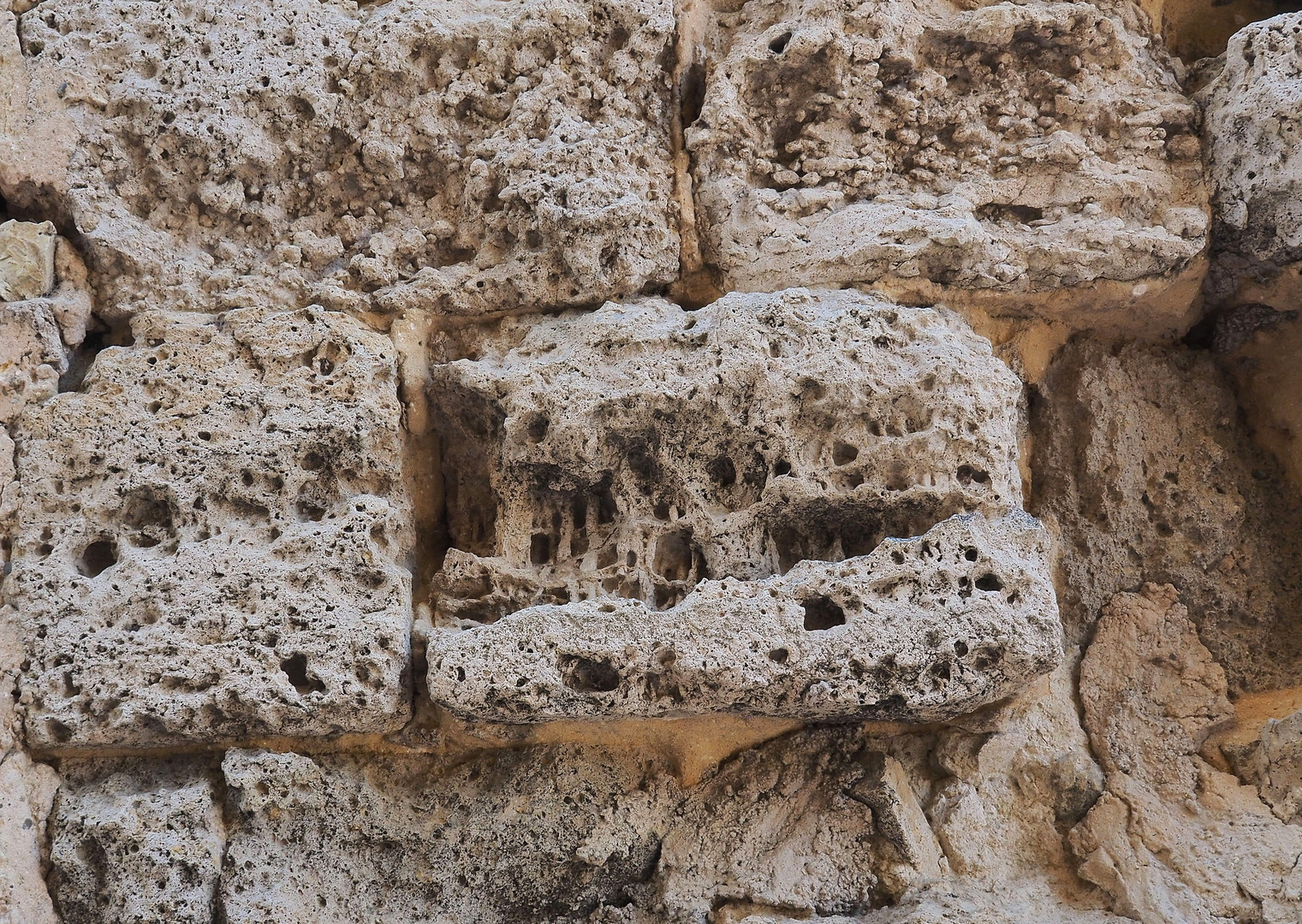 Détail d’un vieux mur  - Château de Larressingle