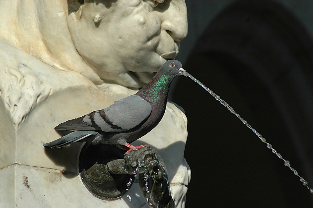 Detail eines Brunnens in der Münchner Fußgängerzone