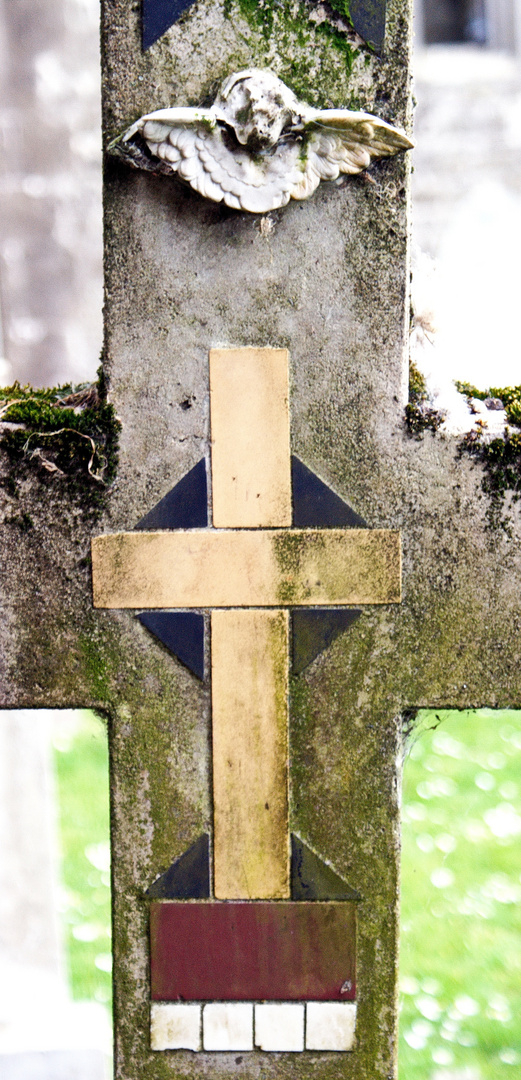 Detail - Friedhof Rock of Cashel