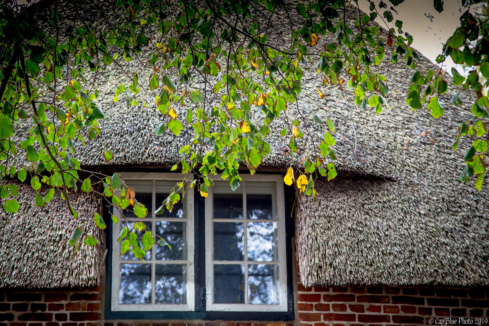 Detail Friesenhaus in Keitum