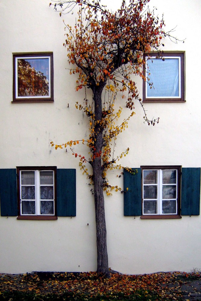 Detail Heimatmuseum Marktoberdorf 2