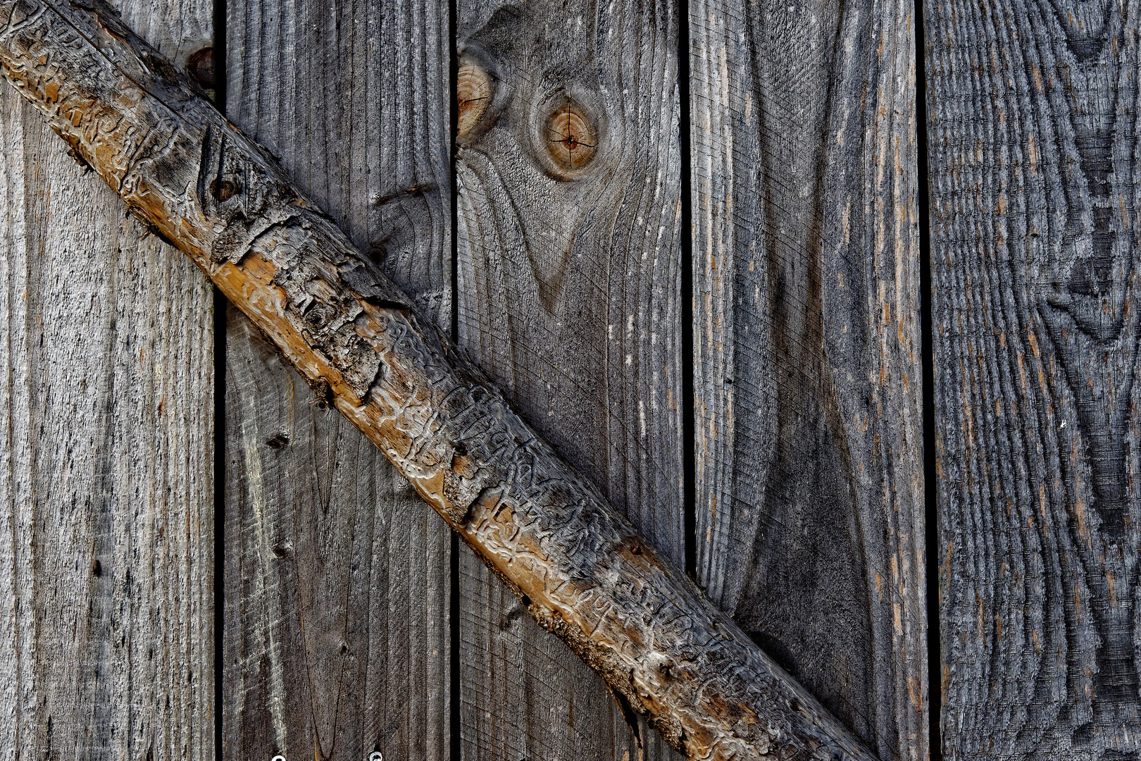 Detail Hochsitz im Wassermer Wald