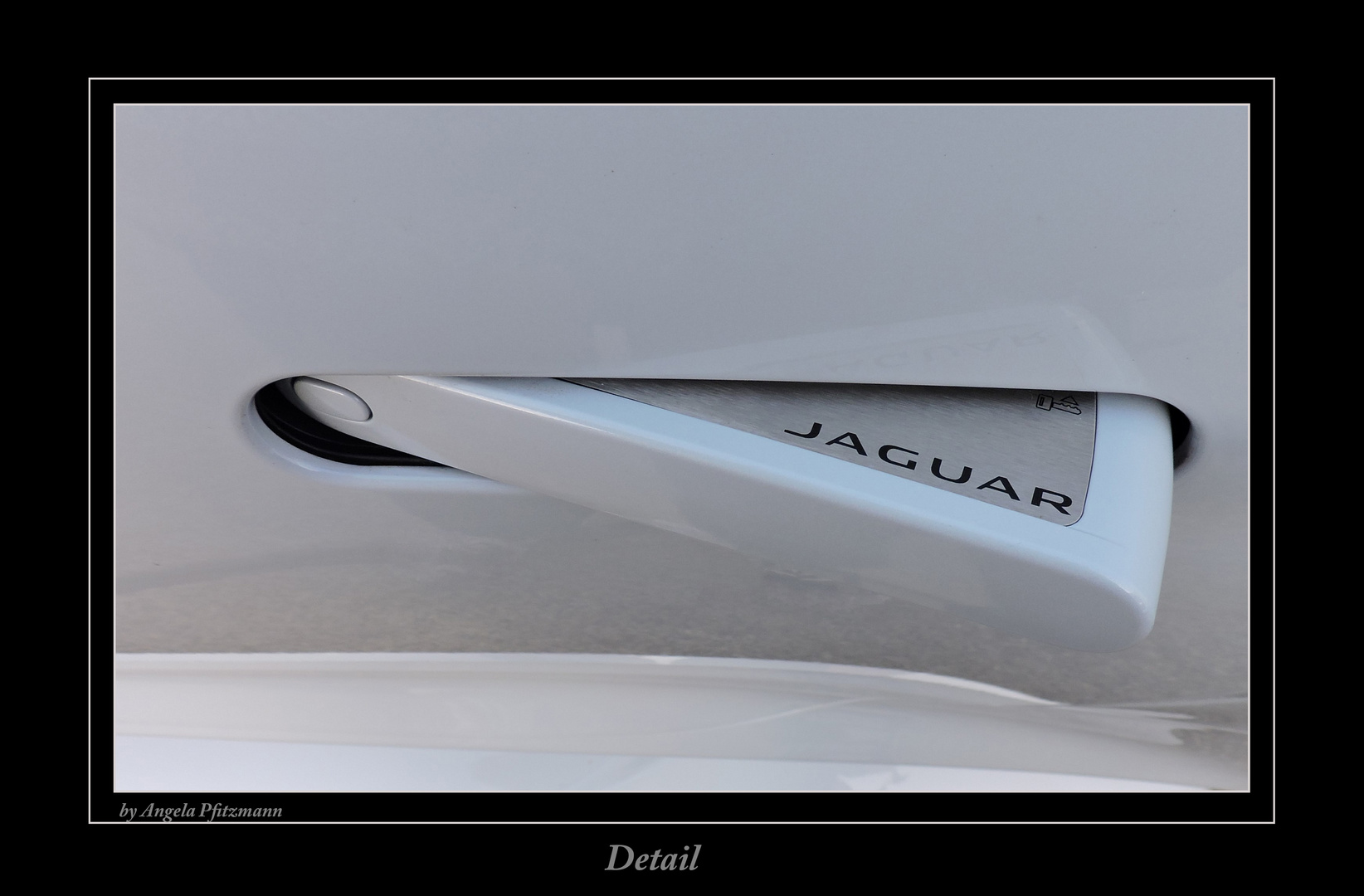 Detail Jaguar