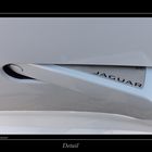 Detail Jaguar