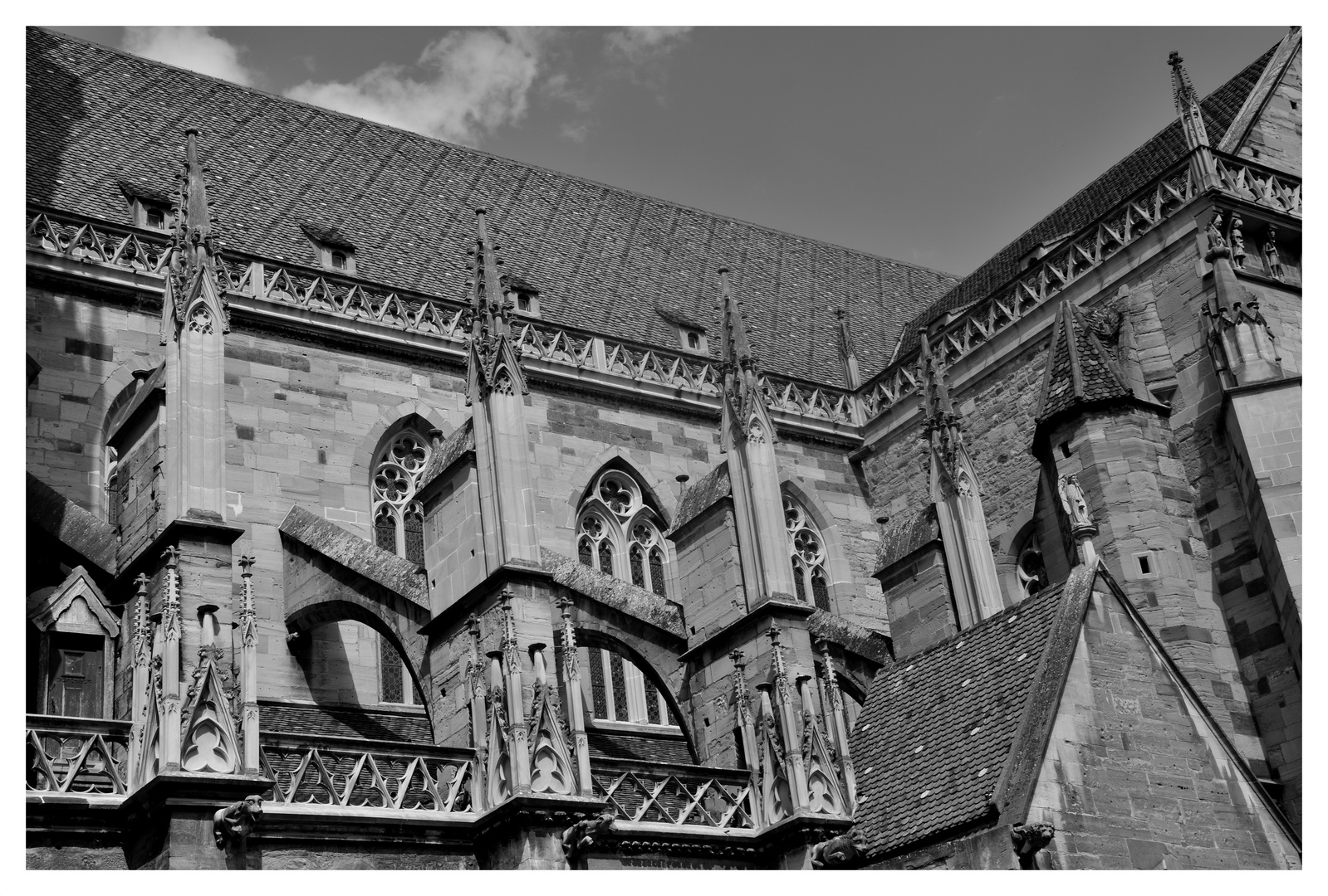 Detail of the Cathédrale Saint-Martin in Colmar