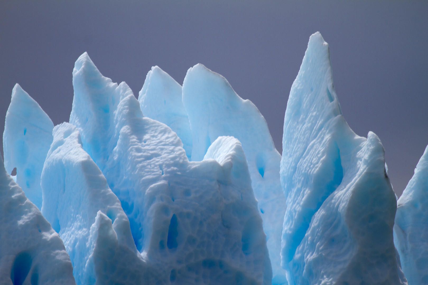 Detail Perito Moreno Glacier, Patagona, Argentina