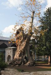 detail topkapi-palast (istanbul)