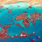 Detail vom Barrier Reef