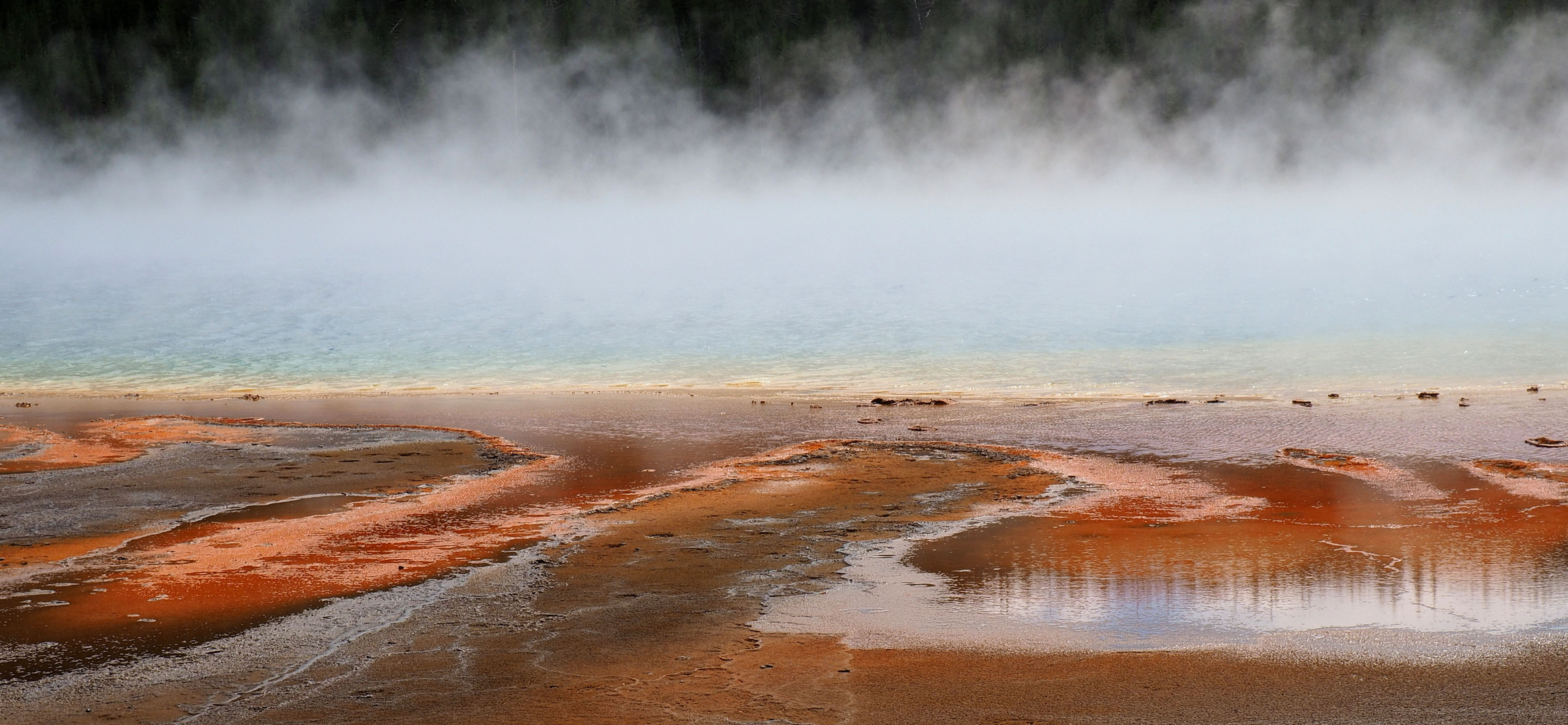 Detail vom Grand Prismatic Spring