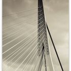 Detail von der Erasmusbrücke in Rotterdam