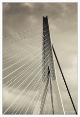 Detail von der Erasmusbrücke in Rotterdam