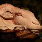 detail widdersphinx karnak (luxor/ägypten)